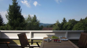 Ferienwohnung 11 mit Aussicht und Kamin
